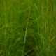 Illustration for article titled A Bog is a Bog